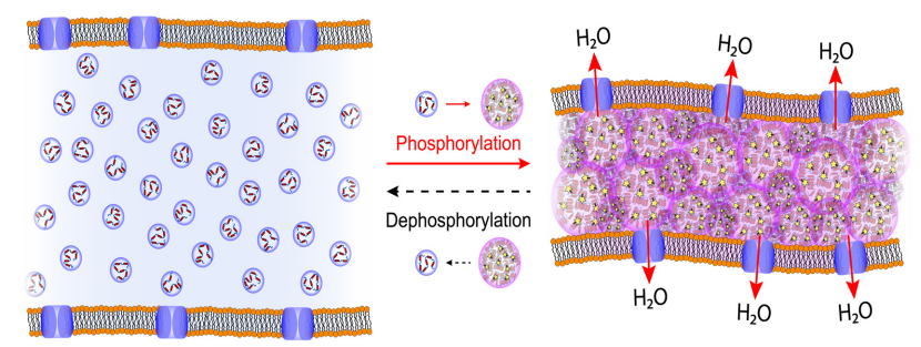 Publication figure 114