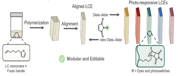 Publication figure 118