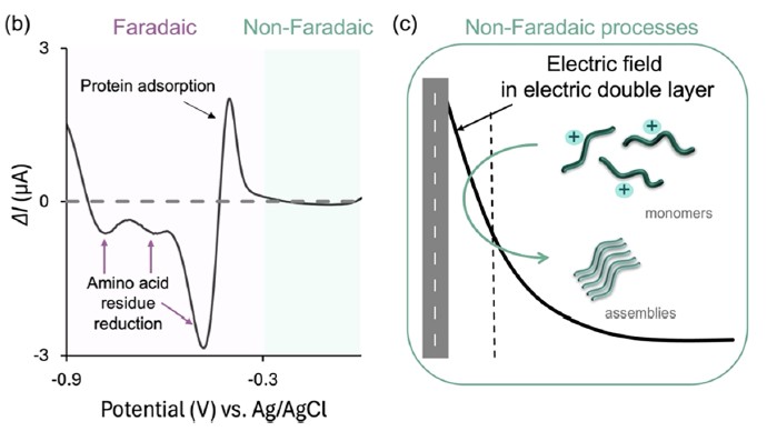 Publication figure 121