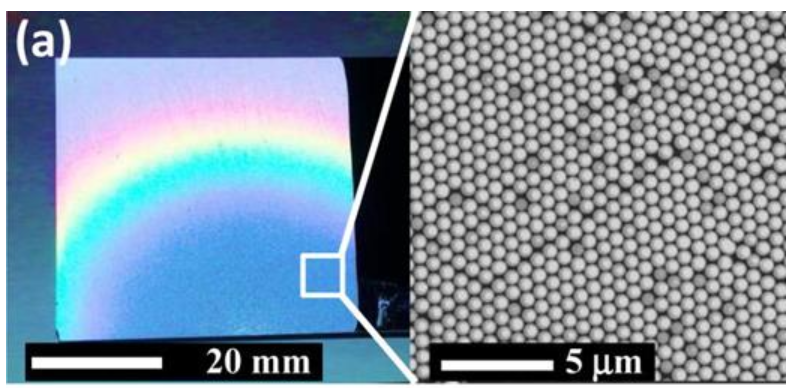 Publication figure 36