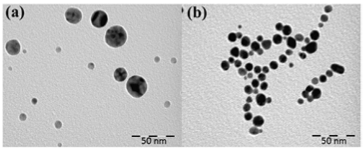 Publication figure 48