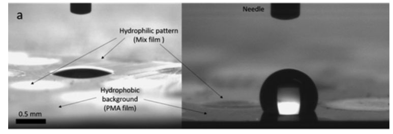 Publication figure 65