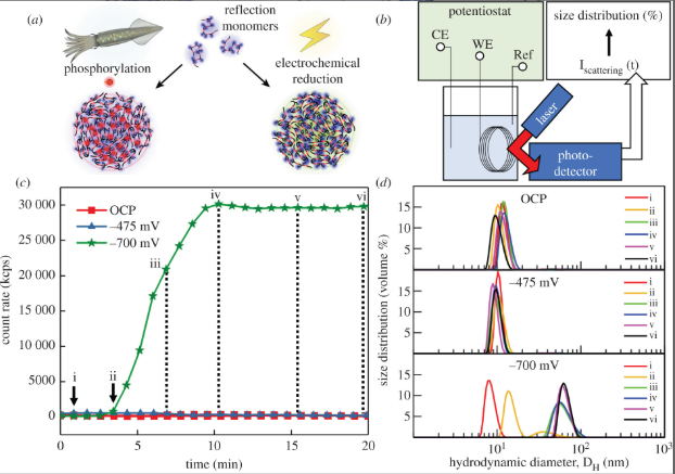 Publication figure 79
